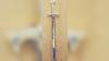 Ceremonial Swords Other Items Stolen From Virginia Beach Masonic Lodges