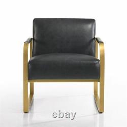 Omax Decor Mason Steel/Genuine Leather Lounge Accent Chair in Black/Gold